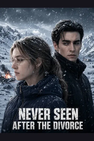 Never Seen After the Divorce poster
