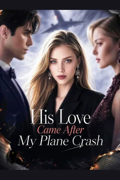 His Love Came After My Plane Crash poster