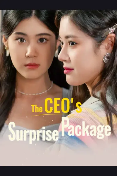 Affiche de The CEO's Surprise Package