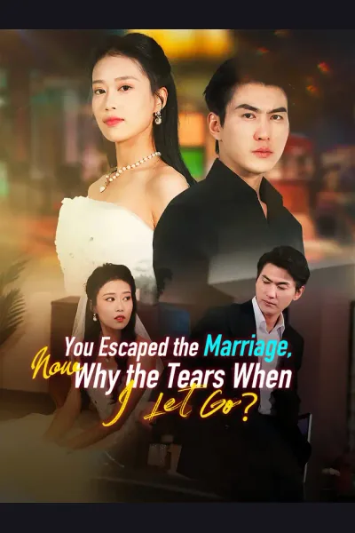 You Escaped the Marriage, Now Why the Tears When I Let Go? poster