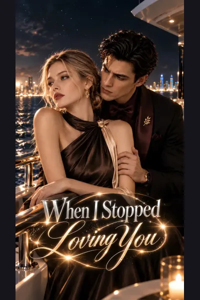 Pôster de When I Stopped Loving You