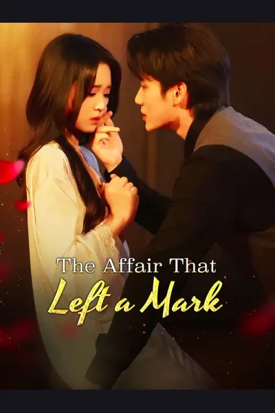 The Affair That Left a Mark poster