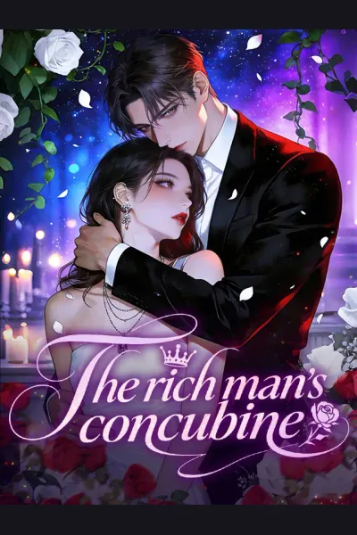 Póster de The rich man's concubine