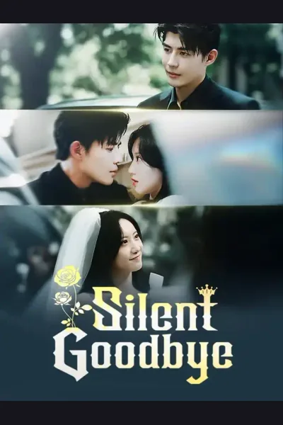 Silent Goodbye poster