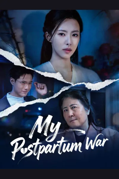 My Postpartum War poster