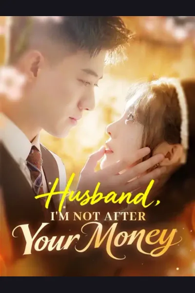 Affiche de Husband, I'm Not After Your Money