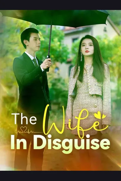 Affiche de The Wife In Disguise