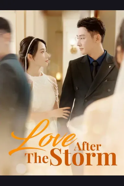 Love After The Storm poster