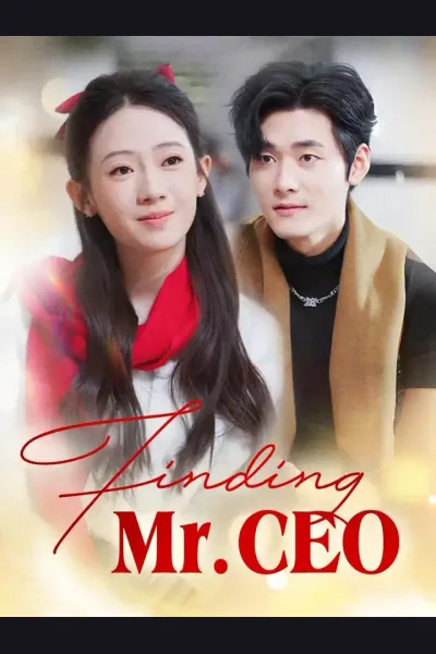 Pôster de Finding Mr. CEO