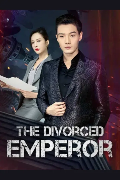 The Divorced Lord Of The Night poster