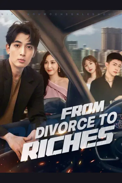 Póster de From Divorce to Riches