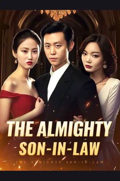 The Almighty Son-in-law poster