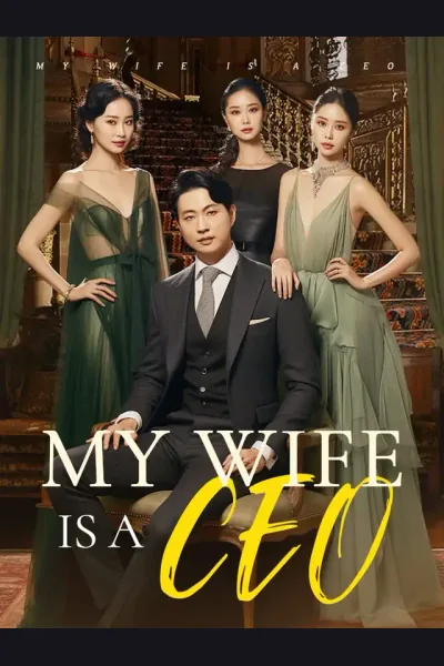 Póster de My Wife Is a CEO