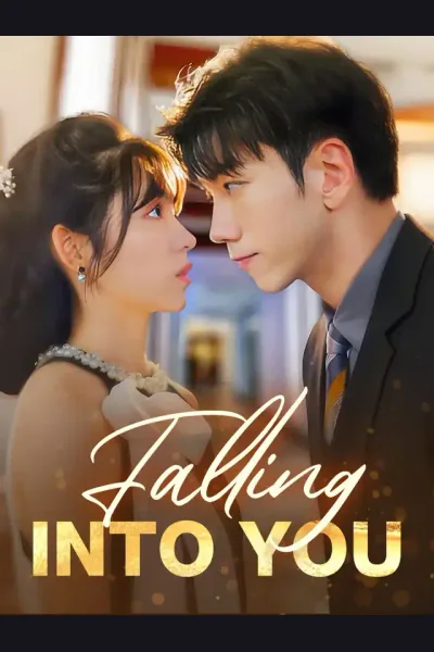 Póster de Falling Into You