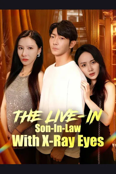 The Live-In Son-In-Law With X-Ray Eyes poster