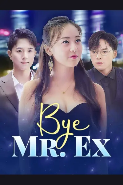 Affiche de Bye, Mr. Ex