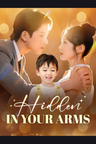 Affiche de Hidden In Your Arms