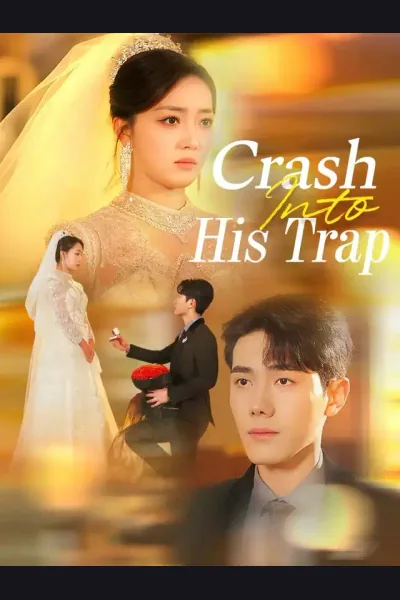 Crash Into His Trap poster