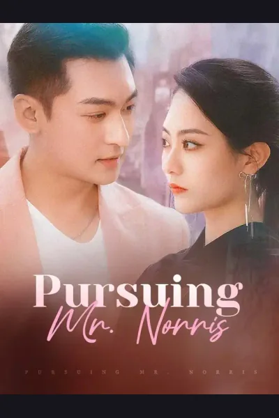 Póster de Pursuing Mr. Norris