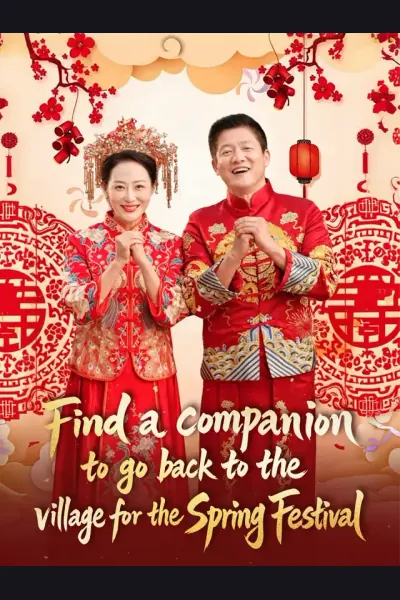 Pôster de Find a companion to go back to the village for the Spring Festival