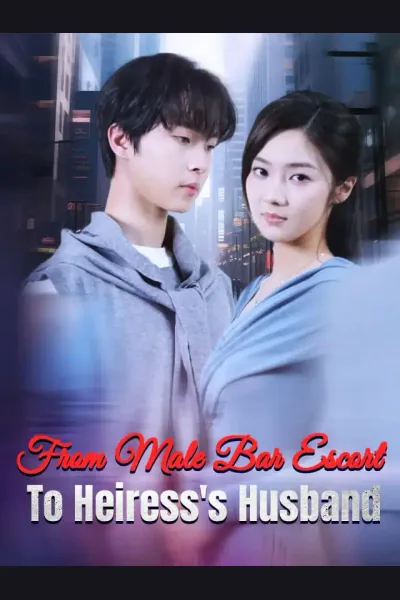 From Male Bar Escort To Heiress's Husband poster