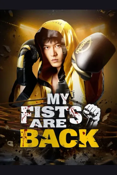 My Fists Are Back poster