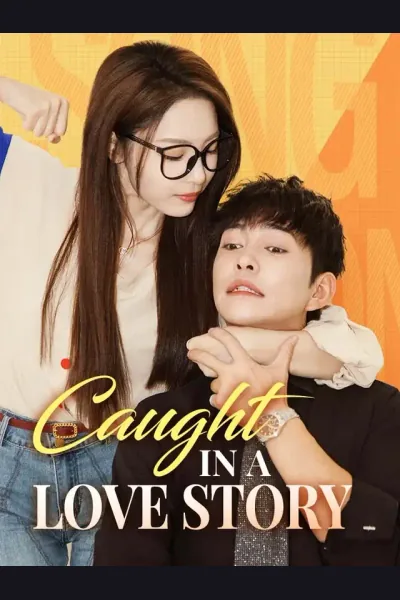 Pôster de Caught In A Love Story
