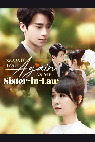 Affiche de Seeing You Again as My Sister-in-Law