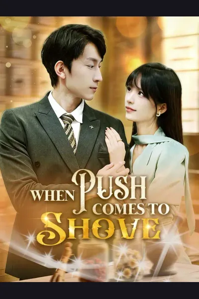 Póster de When Push Comes To Shove