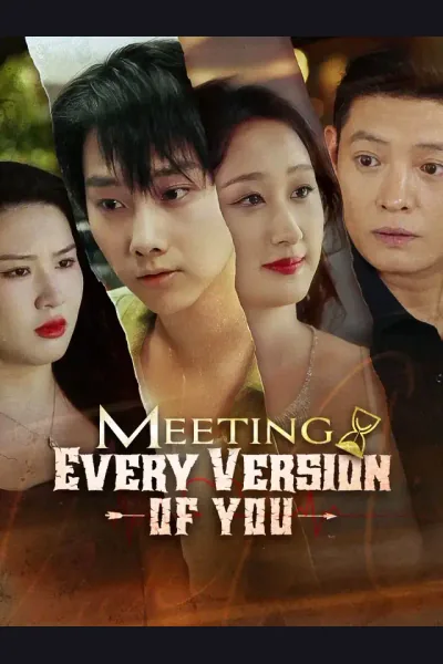 Póster de Meeting Every Version of You