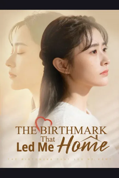 Póster de The Birthmark That Led Me Home