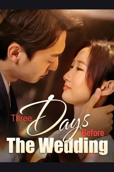 Three Days Before The Wedding poster