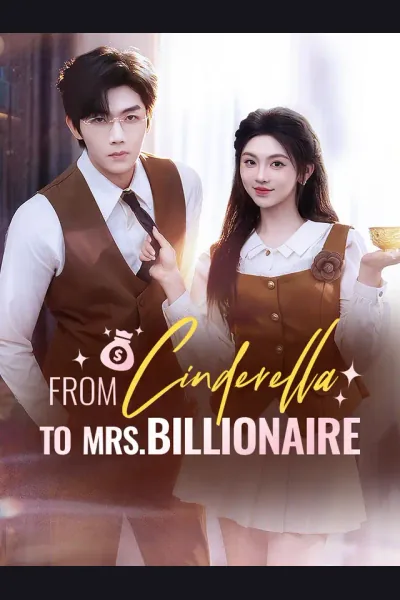 Póster de From Cinderella To Mrs. Billionaire