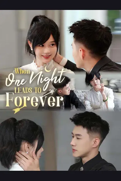 Pôster de When One Night Leads To Forever