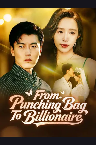 From Punching Bag To Billionaire poster