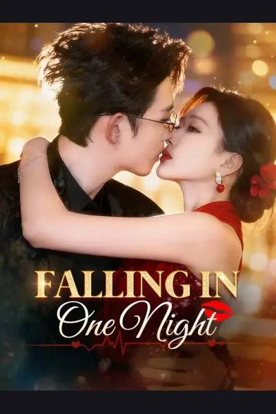 Affiche de Falling In One Night