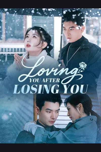 Póster de Loving You After Losing You