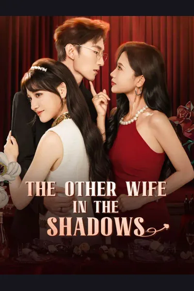 Póster de The Other Wife In The Shadows