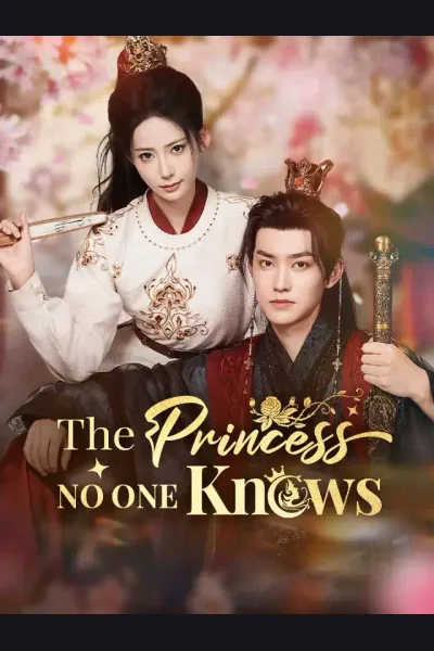 The Princess No One Knows poster