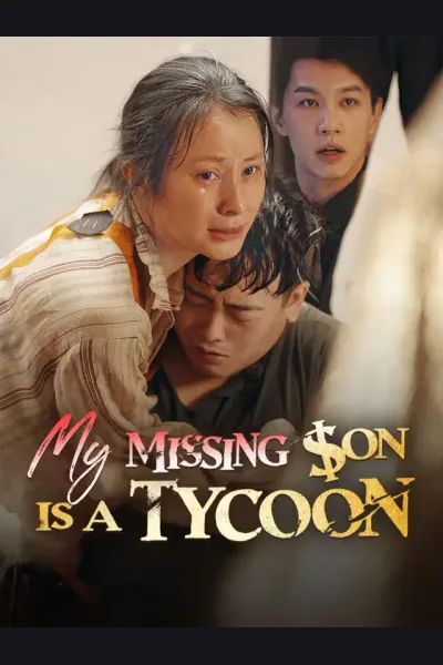 Póster de My Missing Son Is A Tycoon