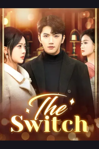 Póster de The Switch
