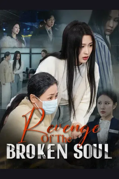 Pôster de Revenge Of The Broken Soul