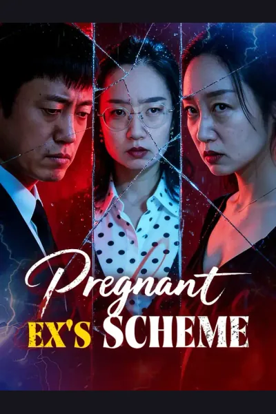 Affiche de Pregnant Ex's Scheme