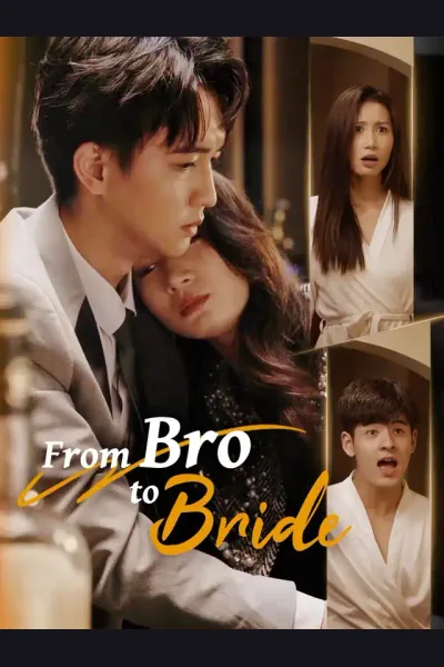Pôster de From Bro to Bride