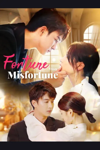 Fortune from Misfortune poster