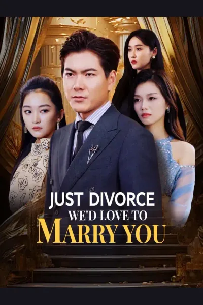 Pôster de Just Divorce, We'd Love to Marry You