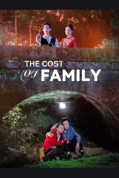 The Cost of Family poster