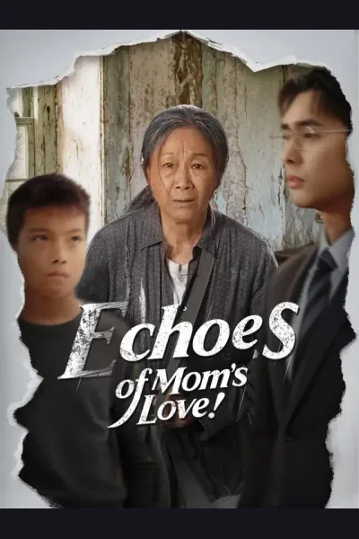 Póster de Echoes of Mom's Love
