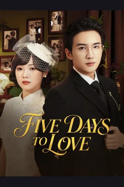 Pôster de Five Days to Love