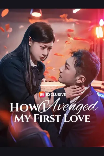 Pôster de How I Avenged My First Love